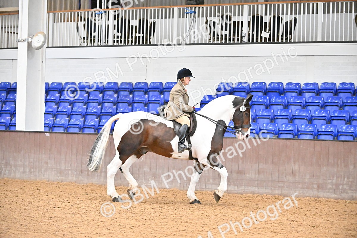 SBM_002678 - Class 28,29 - Ridden Irish & Coloured