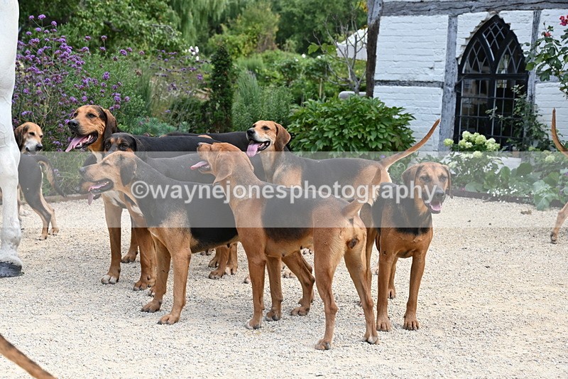 WJ6_3832 - Berks & Bucks - The Old farmhouse - Hound Exercise 20-08-25
