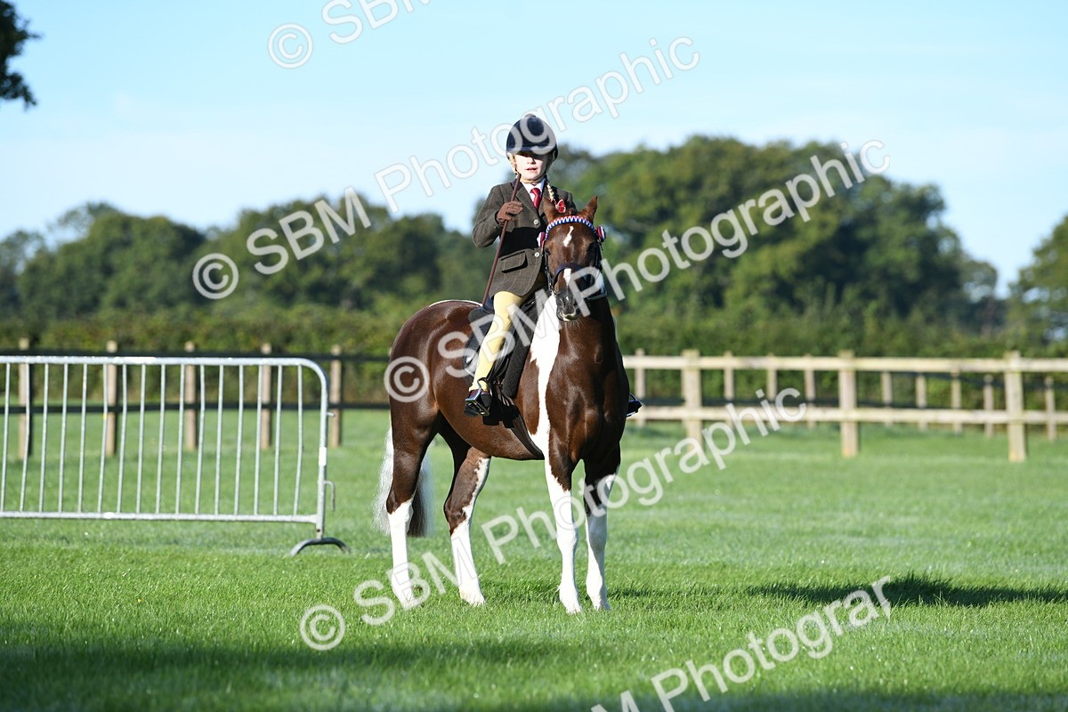 SBM_33950 - S16 - Condition & Turnout - Ridden