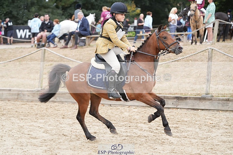 250820A-093533-01247 - Round 2, Start to 9.45 Break