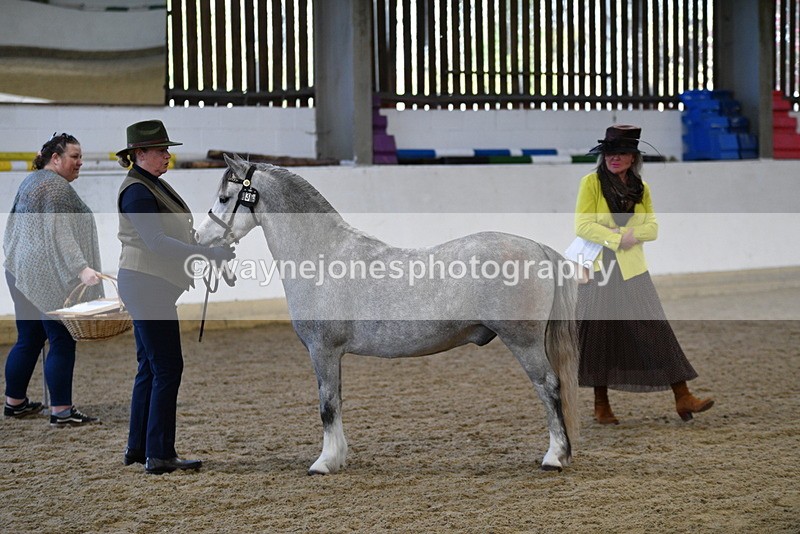 WJ5_3951 - Class 2 Best Condition In hand