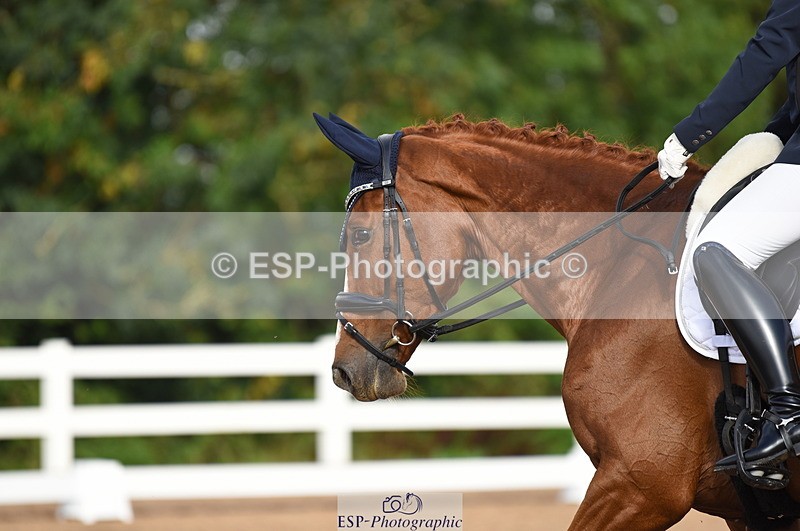 230912A-100138-00212 - Cls 2 Prelim 19