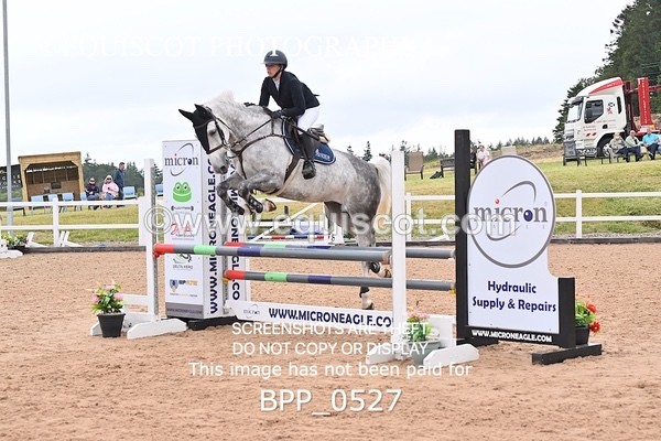 BPP_0527 - CLASS 28 SUN Nupafeeds Senior Dicovery/1m open