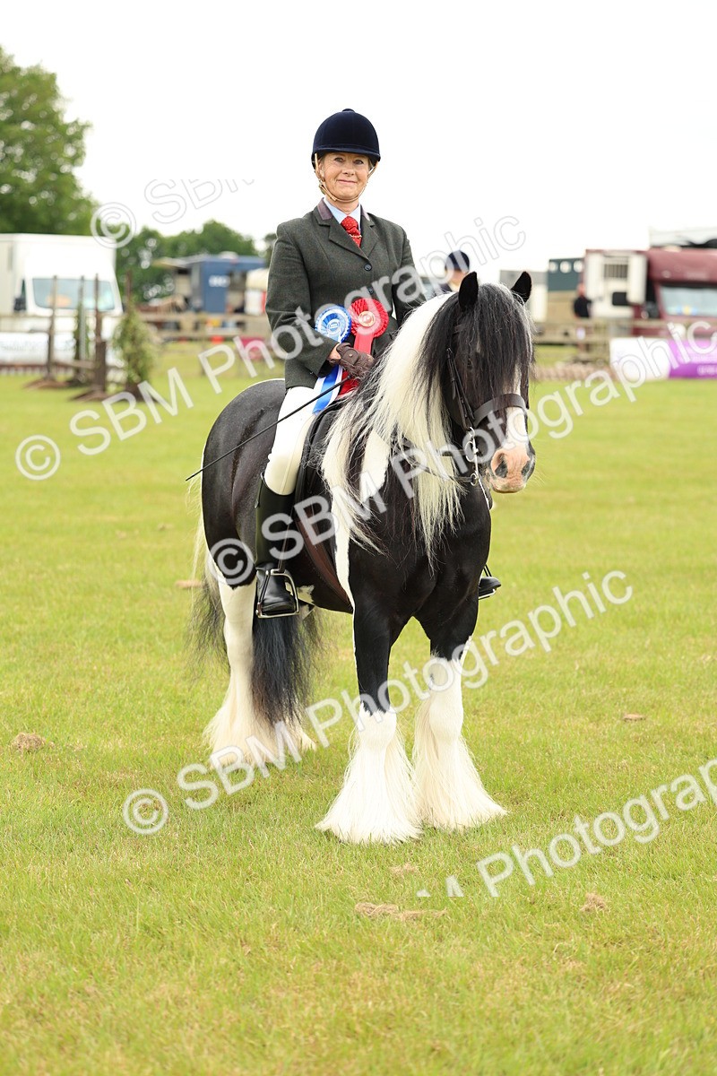 SBM_06338 - Class 39-41 TGCA In Hand and Ridden