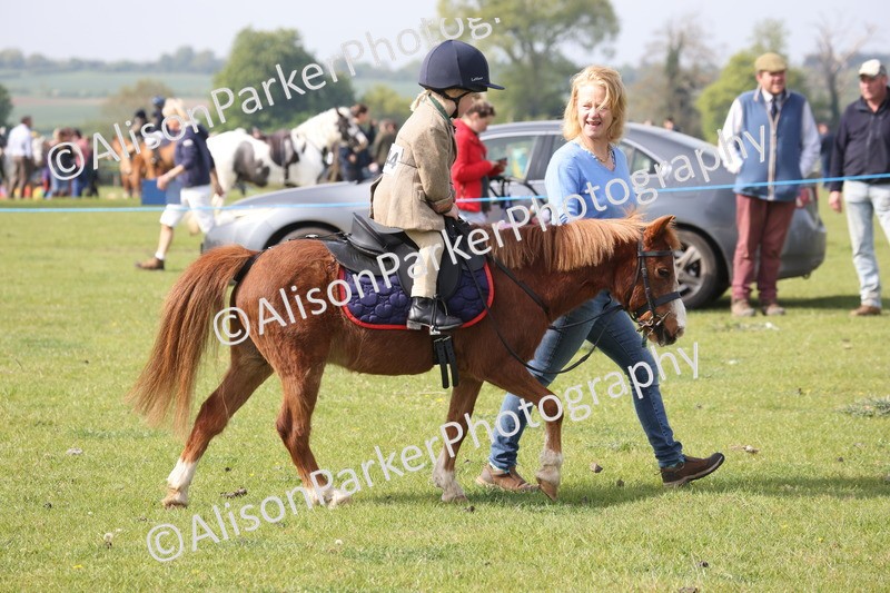 20260426-0452 - Class 30 - Tiny Tots Lead Rein