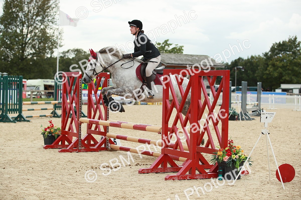 SBM_10105 - J31 Senior 75cm Championship