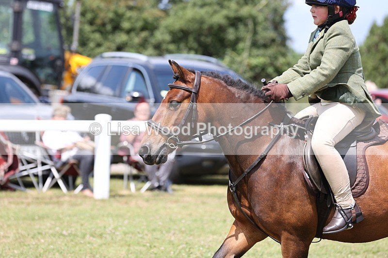 JPP_1818 - Class 18: Tiny Tots Working Hunter Pony