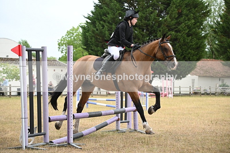 WJ6_0168 - Class 13 Novice Jumping 60cm