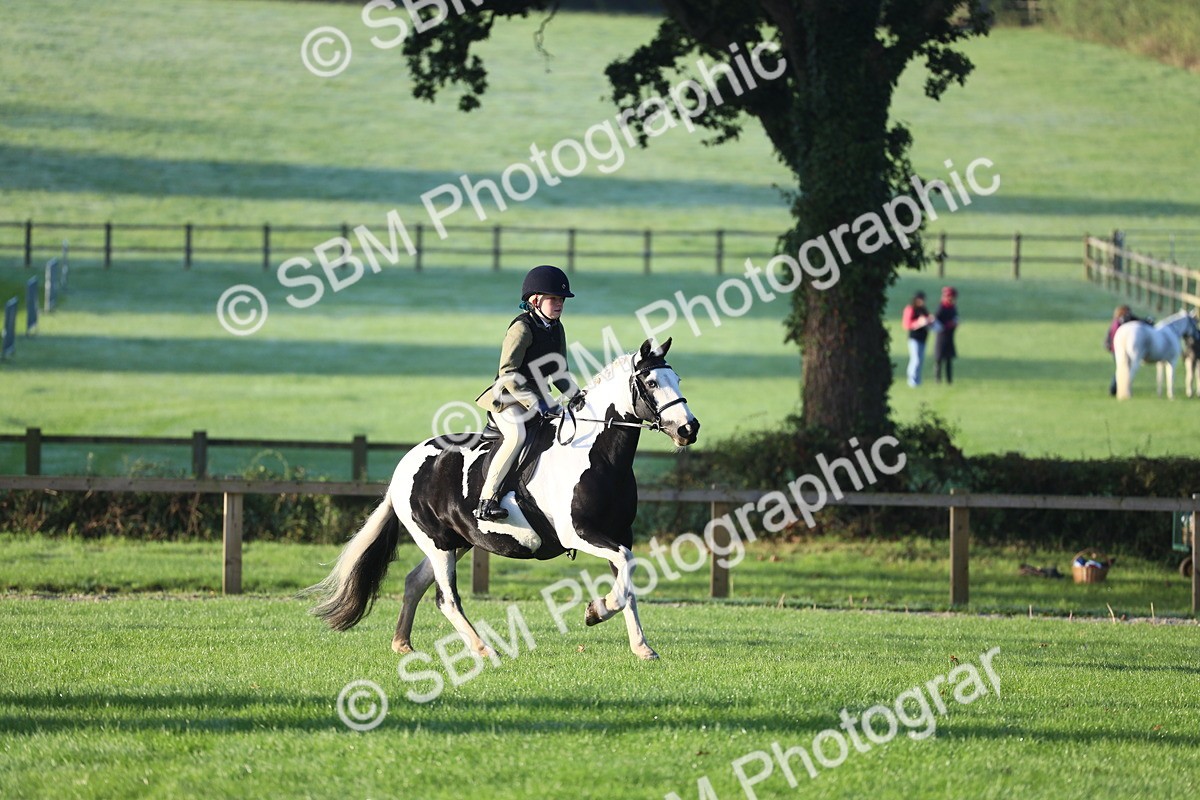 SBM_37145 - S29 - Novice & Newcomers Working Hunter Pony