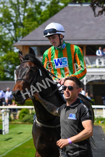 270523-Race 2-Native American-0343 - Race 2 2.10pm Collective Green Energy EBF Restricted Novice Stakes