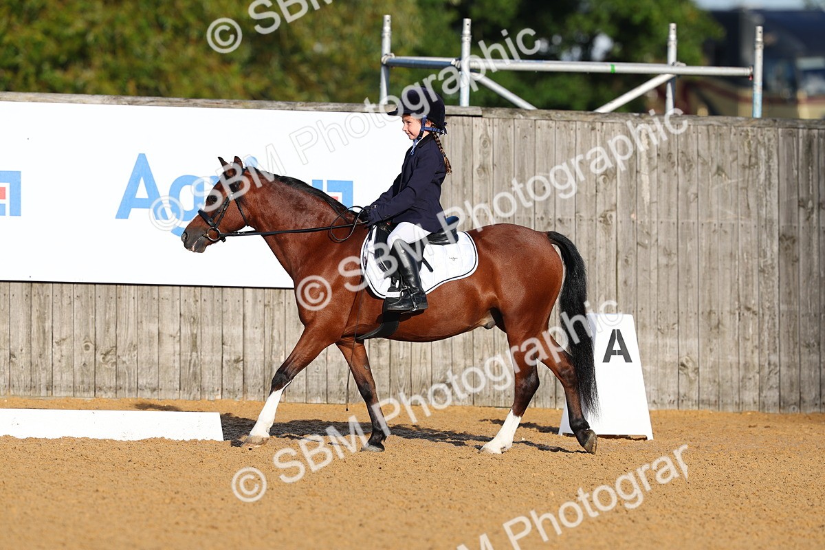 SBM_33512 - D26 - Test Starter Test 1