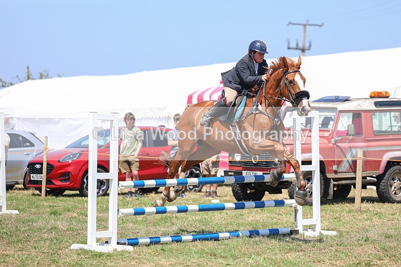 3E7A4425 - Class 10: Senior British Novice/90cm open