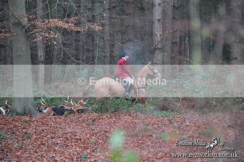 HUPY 261224 74 - Pytchley with Woodland Hunt Boxing Day Meet 26th December 2024