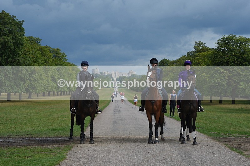 TT3_9182 - Time at Crossing 09:22 to 11:26