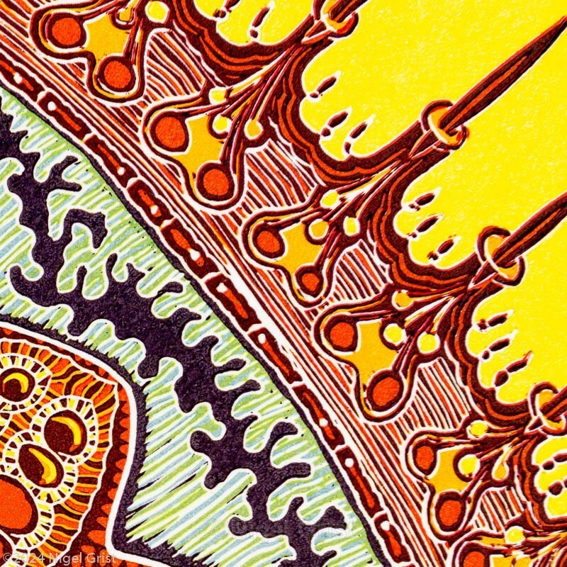  - Linocut