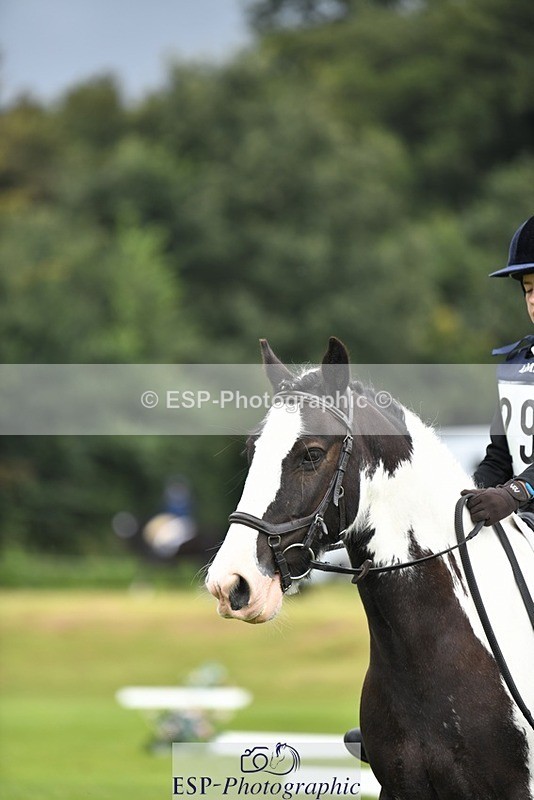 230826-112616-15858 - Sections C & D 10 to End