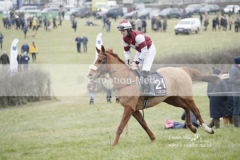 PtP 040323 440 - Duke of Beauforts Hunt Point-to-Point Didmarton 04/03/23