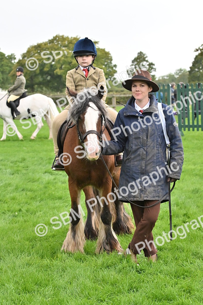 SBM_42906 - S12 - Family Horse & Pony