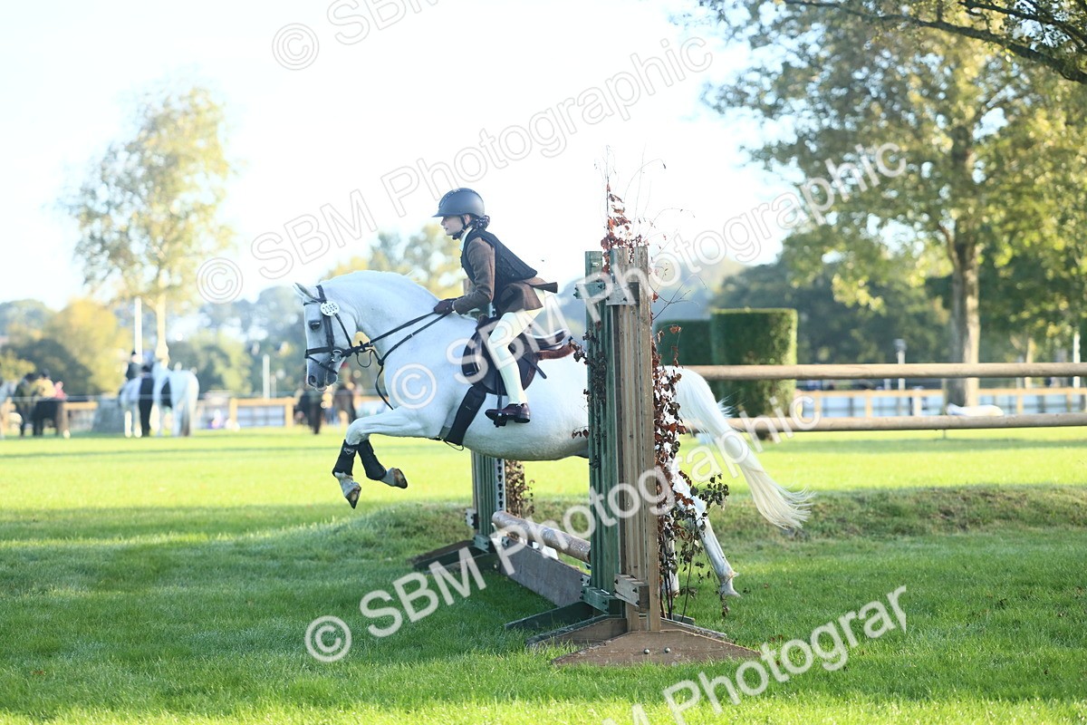 SBM_31966 - S28 - Nursery Stakes Working Hunter Pony