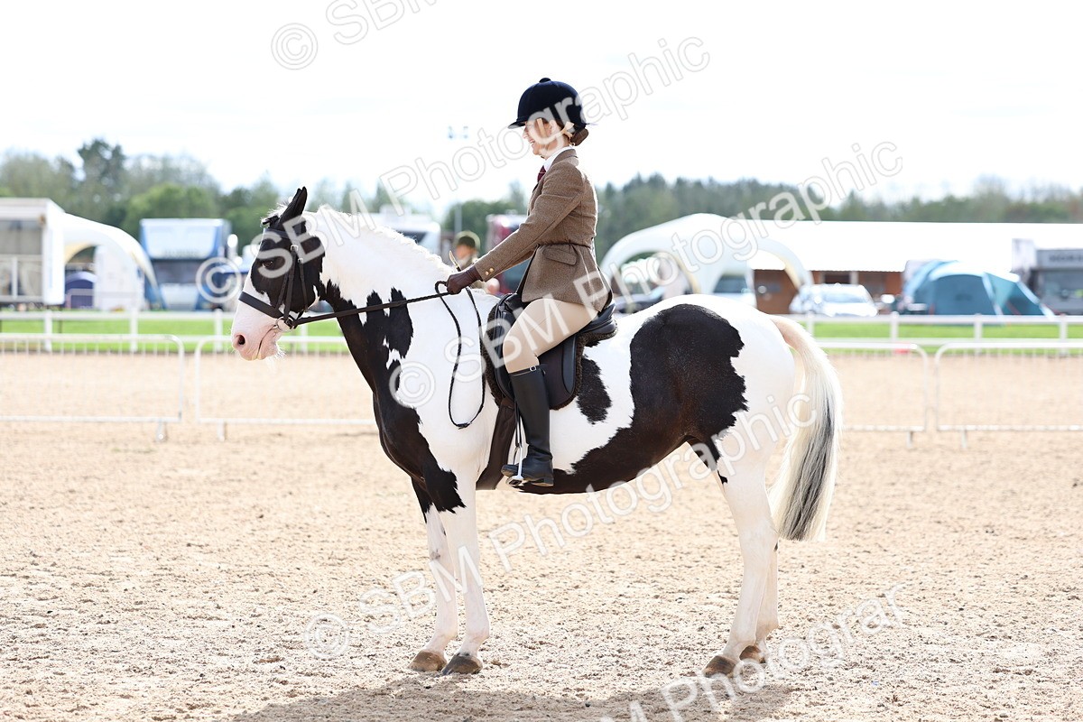SBM_15844 - Class 314 - Family Horse - Pony