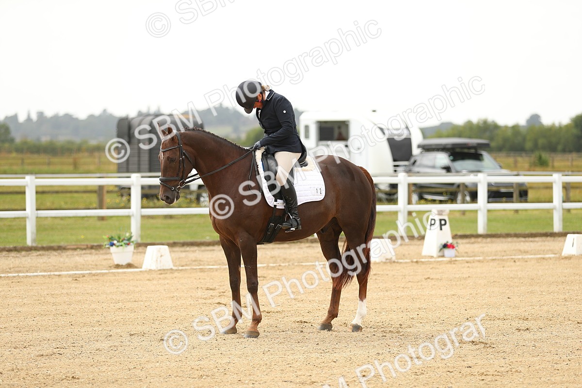 SBM_017239 - Class 13 - Novice 23 - 13.31-14.13