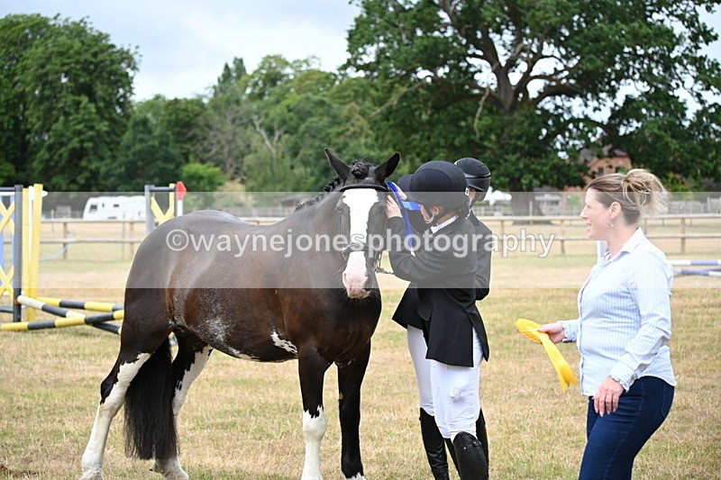 WJ6_4463 - Class 10 Coloured In-hand
