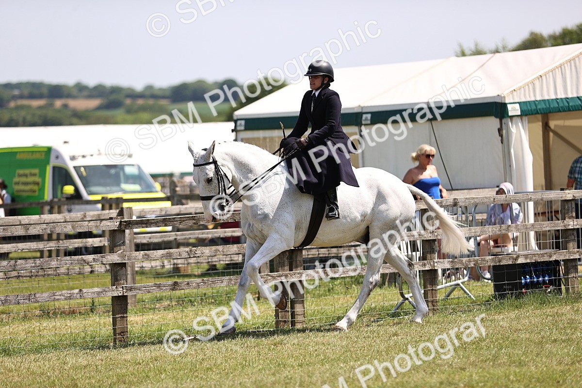 SBM_15093 - Class 79-80 - LIHS BSHA Rising Star Ridden Hunter