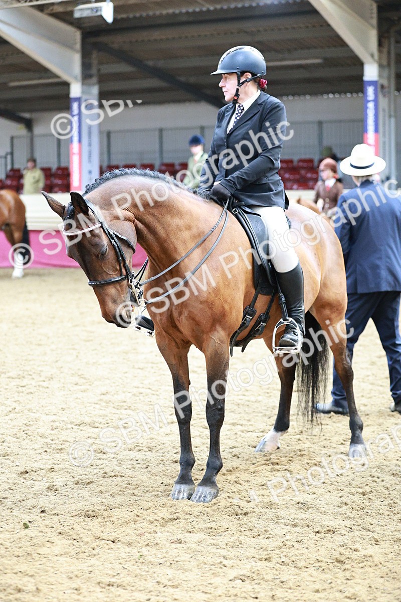 SBM_03709 - Class 6A Area Ridden Pre-Vet