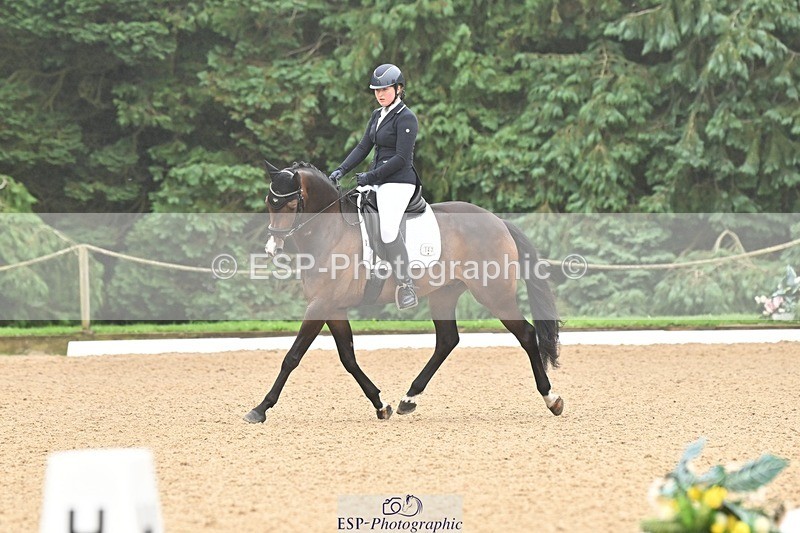 240811-094331-04588 - 147-Tegan.Ball-Woodcroft.Magic.Jewel