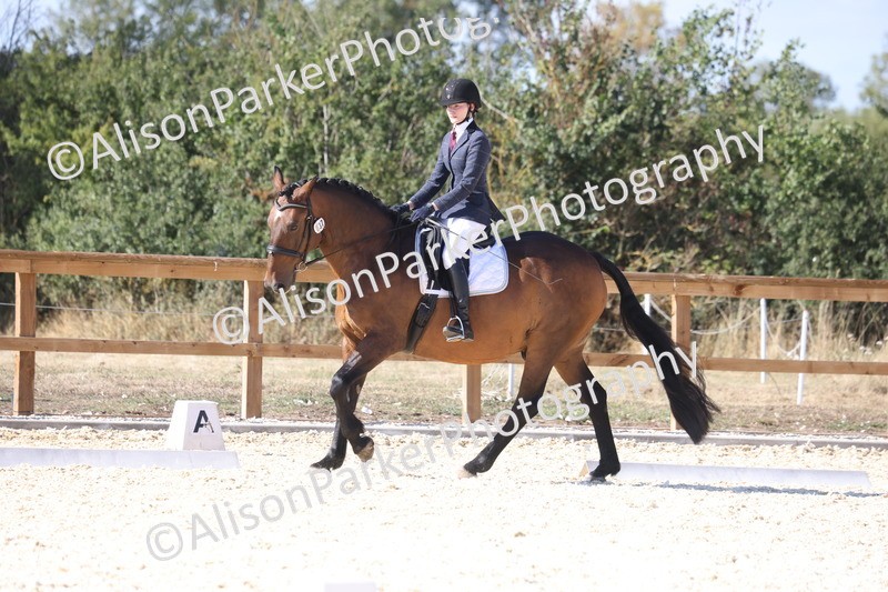 20260905-1611 - Class 5 - Novice 2