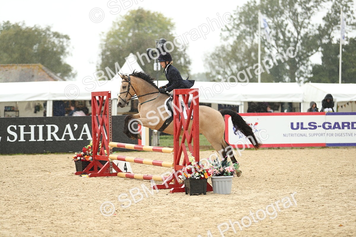 SBM_70452 - J15 - Junior Pony 70cm Championship