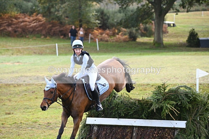 WJ6_2115 - 80cm Cam 1 Time 10:47 to 11:22