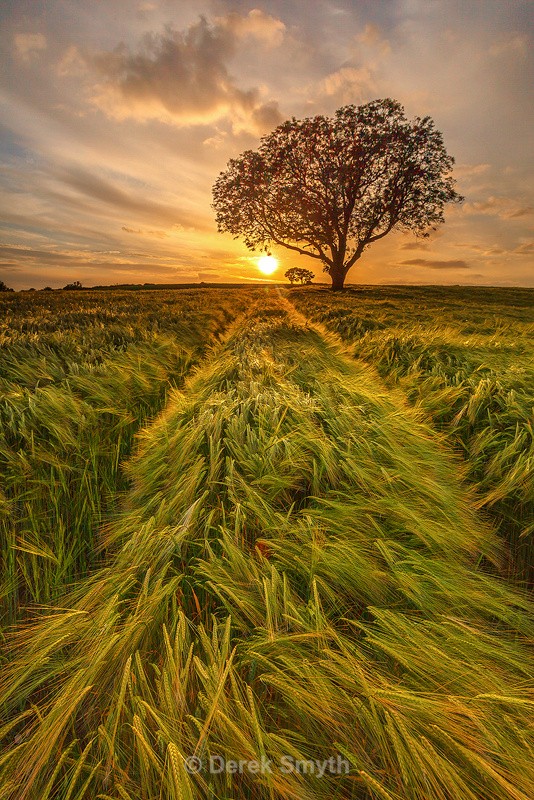 Summer Sunset on the Irish landscape