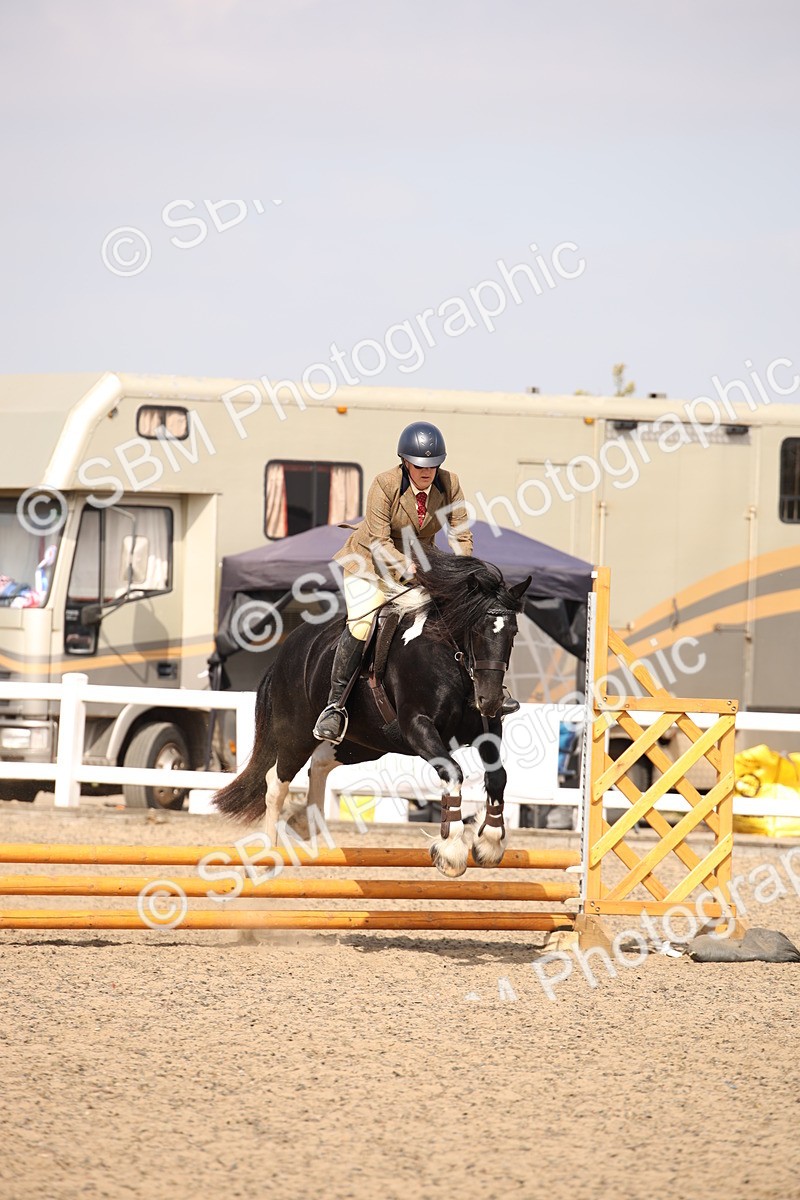 SBM_14217 - Class 407a - Working Veteran 60cm (15-19