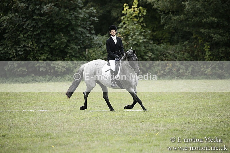 BVR080918 331 - BVRC Novice Dressage & CR 08/09/18