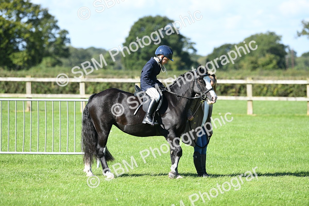 SBM_39537 - S18 - Novice & Newcomers Lead Rein Pony