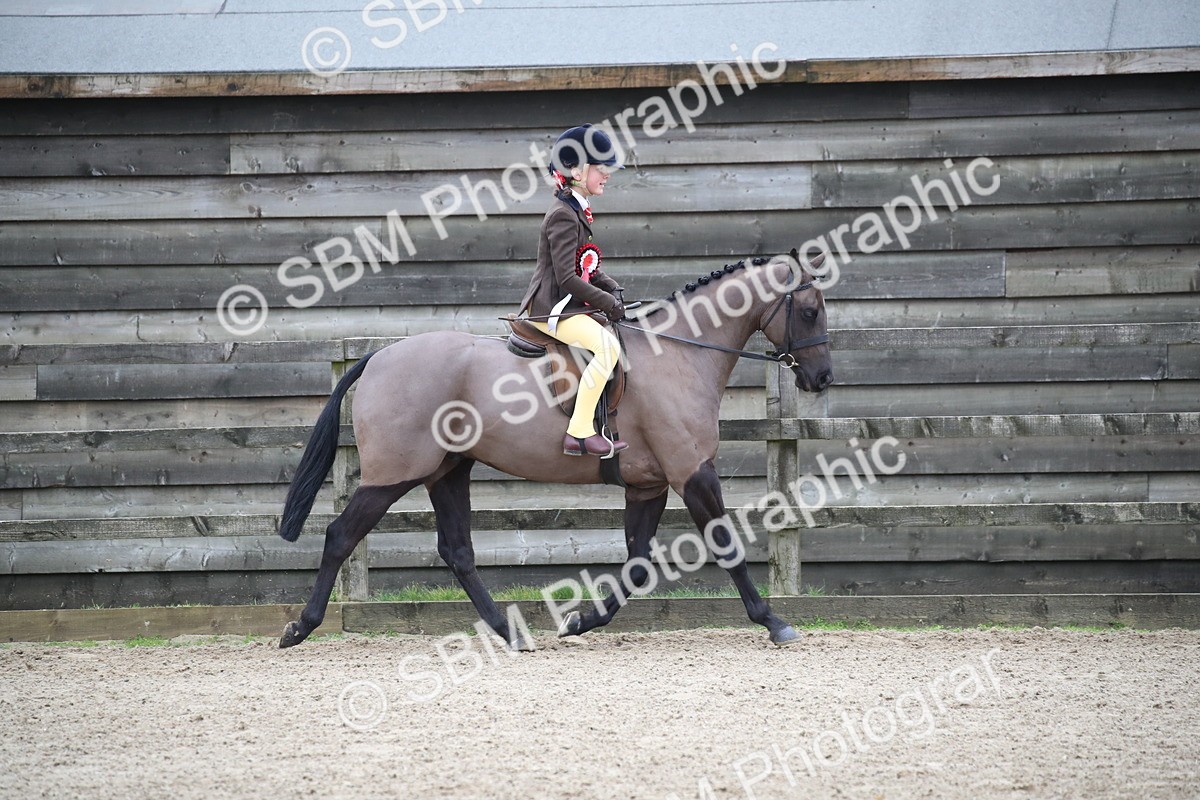 SBM_004630 - Class 5-9 - NPS In Hand-Show Hunter-Intermediate Ridden Inc Ridden Championship