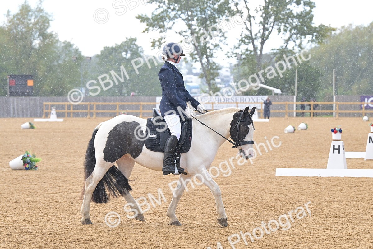SBM_11177 - D3 - Small Tour Championship Intro 3