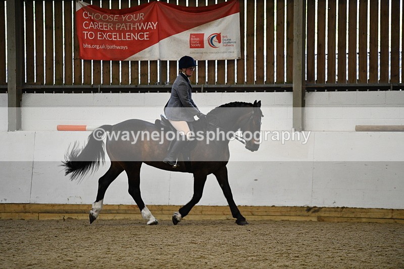WJ5_7766 - Class 13 Ridden Part Breed