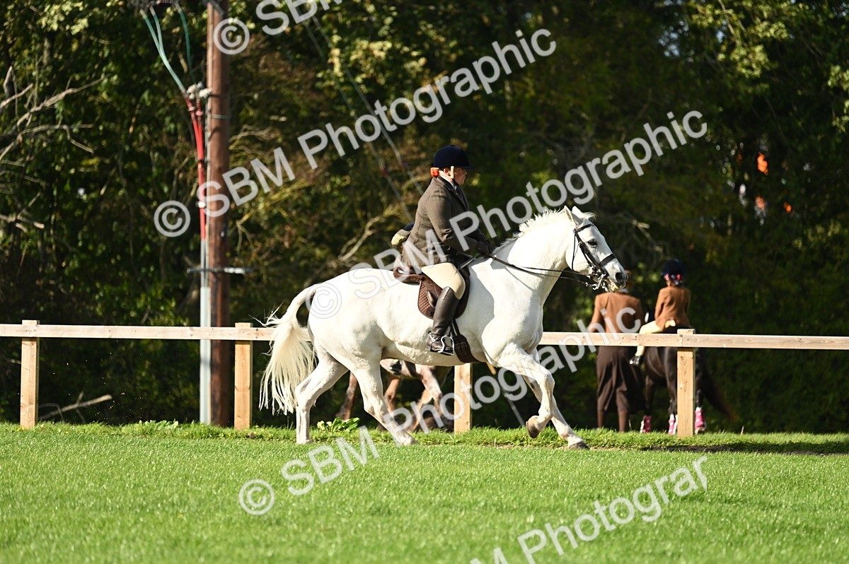 SBM_26451 - S6 - Novice & newcomer Ridden horse