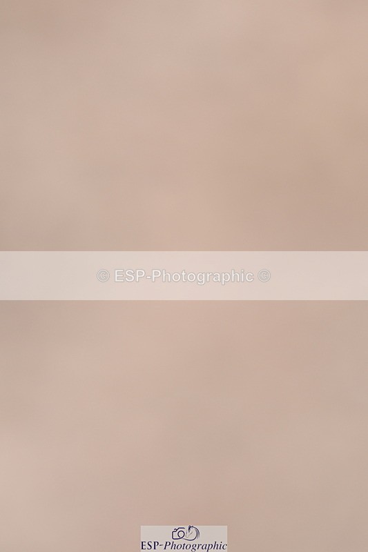 240628A-170818-01635 - Cls 5 Stepping Stones 128cm + 138cm