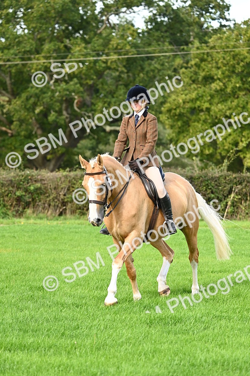 SBM_01707 - S2 - TSR Ridden Horse Showing