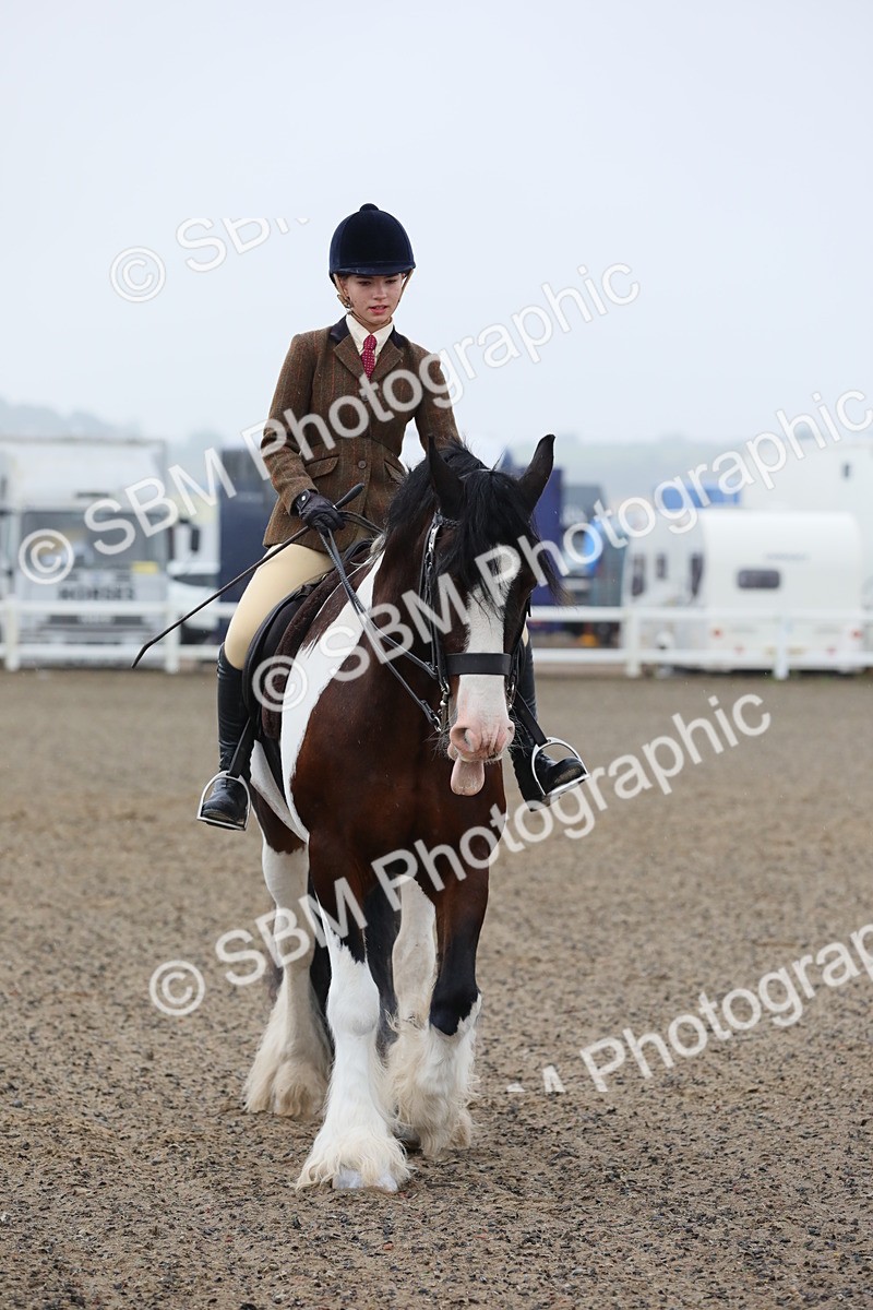 SBM_19931 - Class 801 - Ridden Veteran