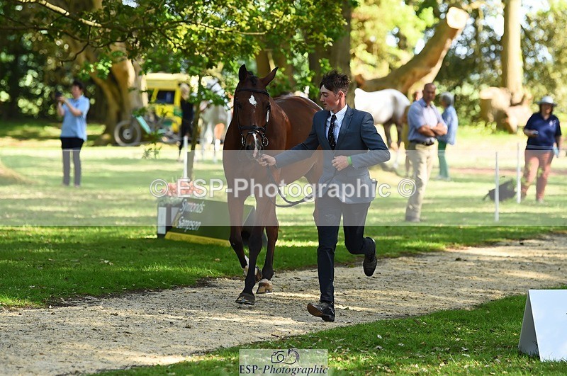 230524-163626-00972 - 108-LYJADOR-Clementine_Crosthwaite_Eyre-WEDTrotUp+DR