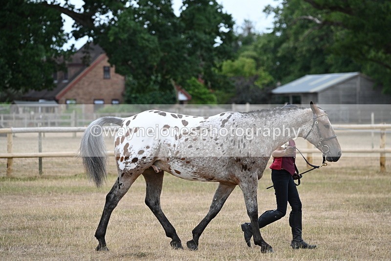 WJ6_7821 - Class 10 Coloured in Hand