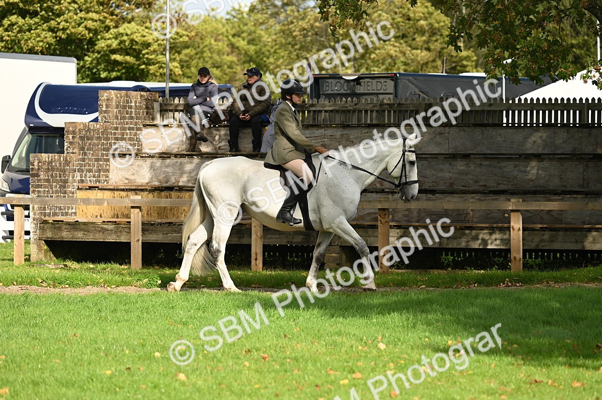 SBM_26296 - S6 - Novice & newcomer Ridden horse