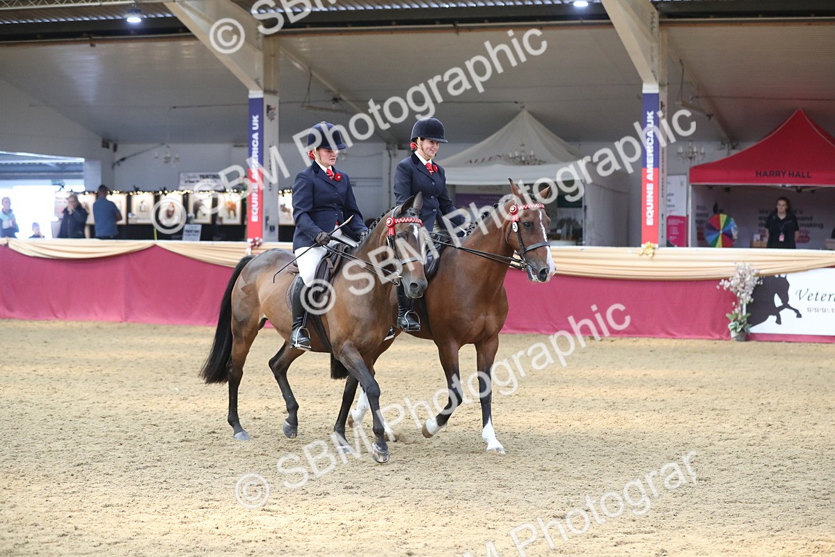 SBM_13647 - Class 109 Ridden Pairs - Section B