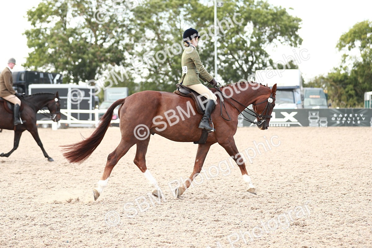 SBM_15505 - Class 213 Ridden Hunter -Large