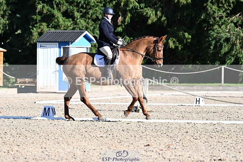 231110-131649-00903 - Cls 4 Novice 39Q