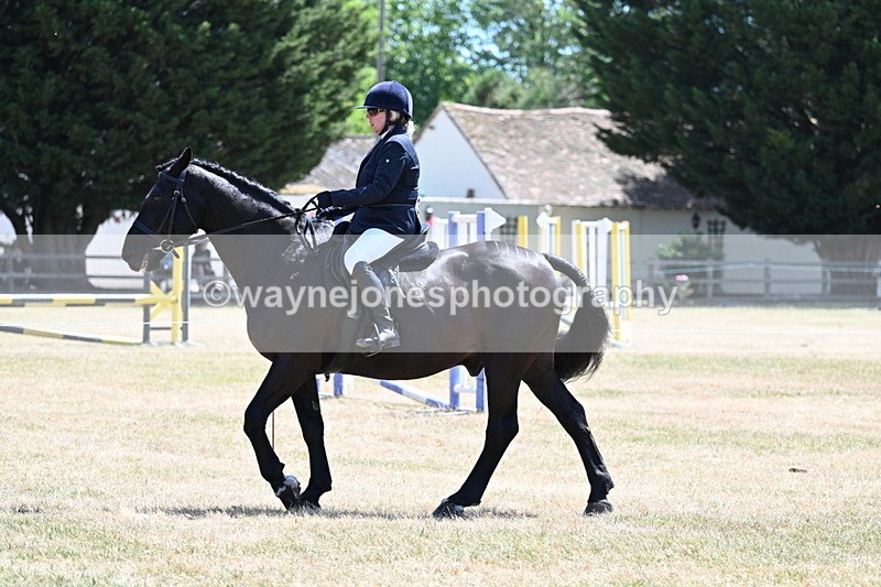 WJ7_2728 - Class 7 Riding Club Show Horse